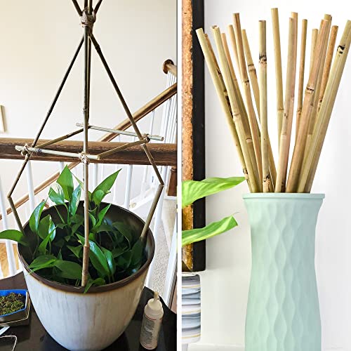 50Pcs Garden Stakes, 0.32”/ 2Feet Bamboo Sticks,Natural Plant Stakes for Indoor and Outdoor Plants,Poles for Tomatoes, Beans, Potted Plants…