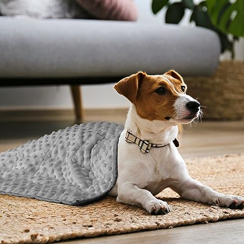 Sivio Weighted Lap Blanket for Kids, Minky Dots Children Weighted Blanket,Soft and Cozy Cooling Heavy Blanket for Sleeping, Calm and Nap, School and Home,2lbs 20 x 30inches, Grey