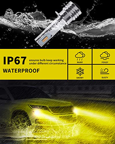 Antline Super Bright H1 LED Bulb Golden Yellow Version 3570 CSP-Chips LED Fog Lights DRL Replacement (Pack of 2)