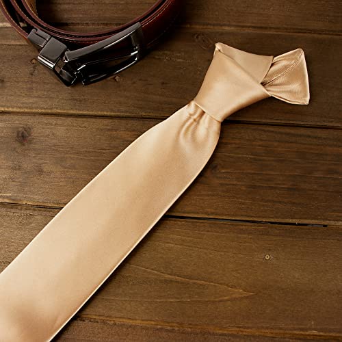 Spring Notion Men's Solid Color Satin Microfiber Tie, Regular Green Tea
