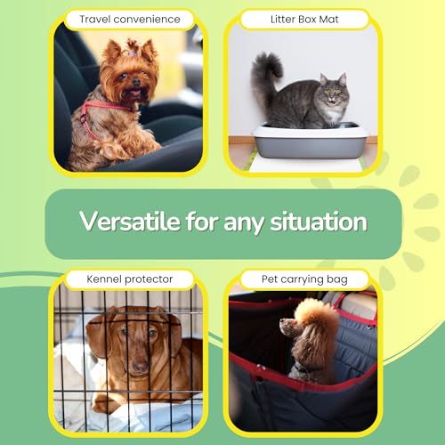 Pet N Pet Pee Pads for Dogs, 50 Counts Puppy Pads, 48% USDA Certified Plant Based Puppy Pee Pads, Unscented Dog Pad, Leak-Proof Training Pads for Dogs, Absorbent Dog Training Pads, Dog Pee Pads