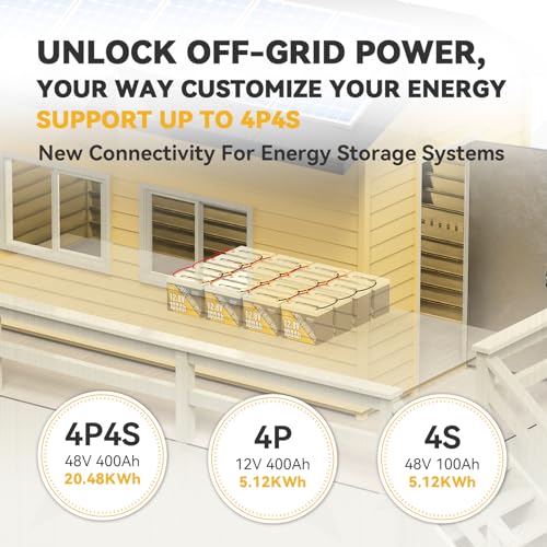 Power Queen 2PACK 12V 100Ah Group 24 LiFePO4 Battery, 1280Wh Lithium Battery with 100A BMS,Grade A Battery Cell, Perfect for Trailer RV, Marine, Solar Power System