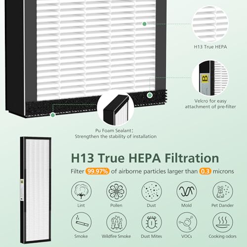 isinlive 2 Pack True HEPA Filter B Replacement with Activated Carbon Pre-Filters