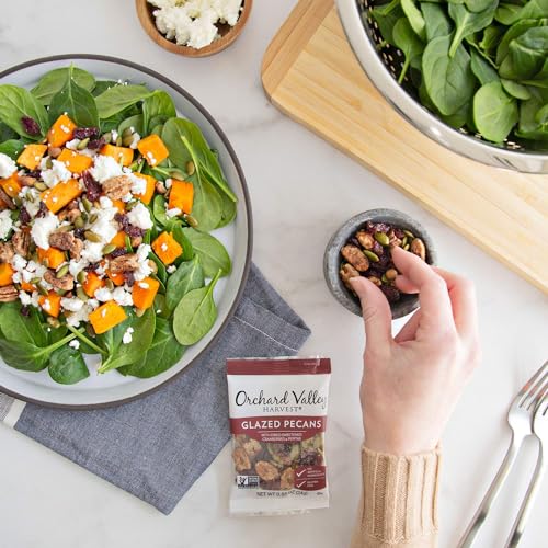 Orchard Valley Harvest Salad Toppers Glazed Pecans with Cranberries and Pepitas, 0.85 Ounce Bags (Pack of 15), Salad Toppings, Non-GMO, No Artificial Ingredients