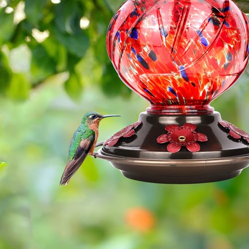 BOLITE Hummingbird Feeder, Hand Blown Glass Hummingbird Feeders for Outdoors Hanging, 22 Ounce, Five Feeding Ports with Perch, Peony Flower Shape, Red