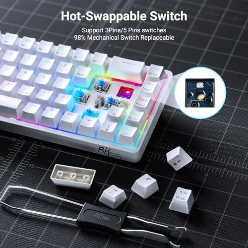 RK ROYAL KLUDGE RK837 Video Gaming Keyboard - 65% Layout Mechanical Keyboard, BT5.1/2.4G/Wired with 3 USB Ports, RGB Backlit, Hot-Swap PC Computer Wireless Keyboard for Mac Laptop, Clicky Blue Switch