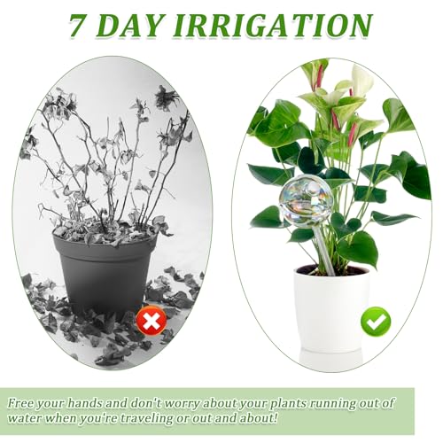 Plant Watering Globes -4 Pcs Self Watering Planter Insert-9 Inch Iridescent Glass Transparent Mushroom Plant Watering Devices- Easy Refill Design With -Indoor and Outdoor Plants Best Giving