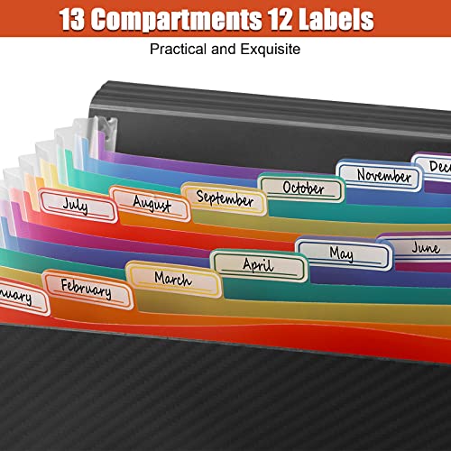 CASAON A6 Black Plastic File Folder with 13 Pockets for Storage and Organization