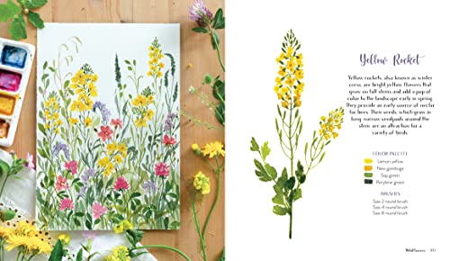 Wildflower Watercolor: The Beginner’s Guide to Painting Beautiful Florals