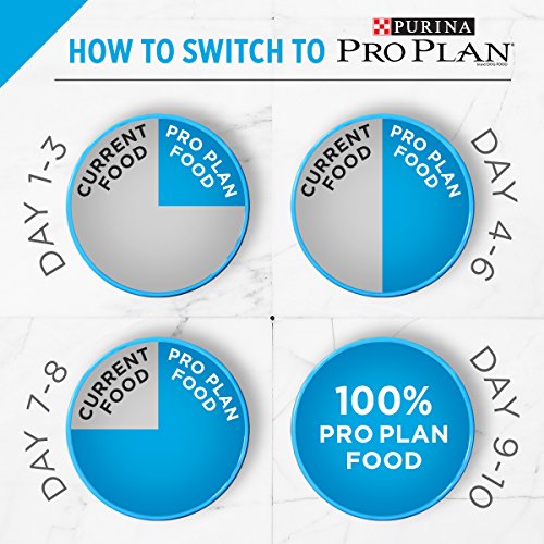 Purina Pro Plan Sensitive Skin and Stomach Adult Dog Food Small Breed Salmon and Rice Formula - 16 lb. Bag