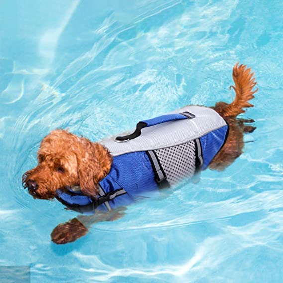 Dog Life Jacket Swimming Vest Lightweight High Reflective Pet Lifesaver with Lift Handle, Leash Ring Blue,XS