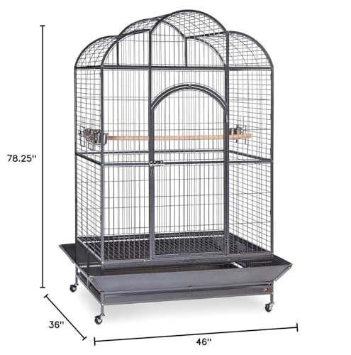 Prevue Pet Products Silverado Macaw Dometop Cage 3155S Silverado 46-Inch by 36-Inch by 78-1/4-Inch