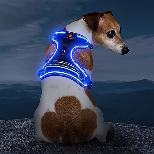 Vizbrite Light Up Dog Harness, No Pull LED Dog Harness with Handle, Rechargeable Lighted Safety Vest for Small Medium Large Dogs, Adjustable Soft Dog Lights for Night Walking