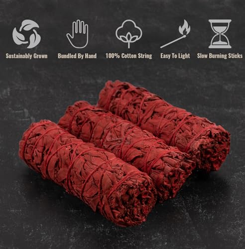 Wish Well Sage Smudge Kit - 3 Dragons Blood Sage Sticks, 2 Palo Santo Sticks, Abalone Shell, Stand, Feather, 7 Chakra Stones & Crystal Bracelet ~ Sage Incense Sticks for Cleansing House & Meditation