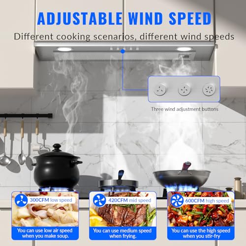 20 Inch Insert Range Hood,600 CFM Stainless Steel Built-in Kitchen Hood,Ducted/Ductless Convertible Kitchen Vent Hood,with LED Lamps,3-Speed Exhaust Fan,Dishwasher Safe Baffle Filters