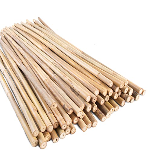 50Pcs Garden Stakes, 0.32”/ 2Feet Bamboo Sticks,Natural Plant Stakes for Indoor and Outdoor Plants,Poles for Tomatoes, Beans, Potted Plants…