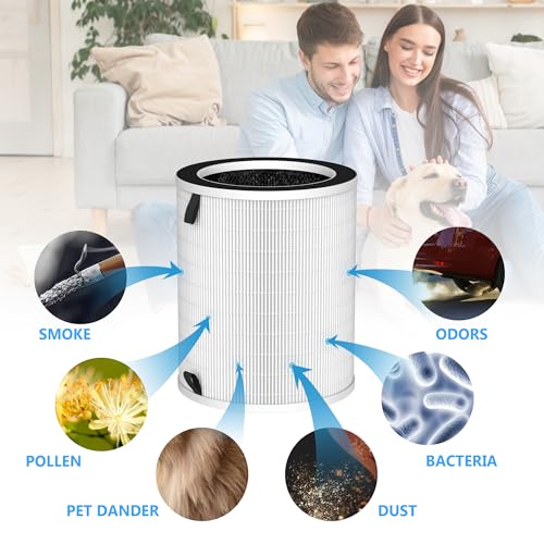 GoKBNY 1-PACK Max/Mage/Mage Pro Replacement Filter Compatible with MAX/MAGE/MAGE PRO Purifiers and Sans/Air-Honati/Compass Home Smart/Taylor Swoden/Cuckoo CAC-J1510FW/Rosewill RHAP/OSAP01/OSAP02