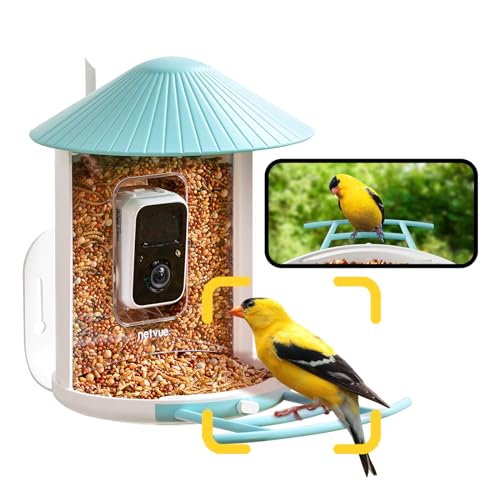 NETVUE Birdfy AI Smart Bird Feeder with Camera, AI Auto Capture Each Bird Come & Identify 6000+ Bird Species, Cloud Store Bird Videos & Birdwatching On Live, Ideal Gift for Bird Lover (Blue)