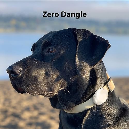 TagVault™ AirTag Dog Collar Mount (2 Pack) - IP68 Waterproof, Doesn't Dangle, Fits All Width Collars | Elevation Lab