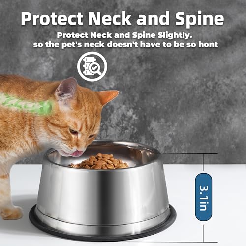 Nicelock Elevated Cat Bowl Stainless Steel Combined Type Cat Bowls Whisker Fatigue Cat Dish, One Raised Cat Bowl and One Dish