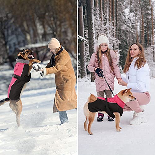 DENTRUN Warm Winter Coat Cold Weather Jacket Windproof Fleece Vest Reflective Outwear Waterproof Snowsuit Cozy Turtleneck Apparel for Small Dogs, S