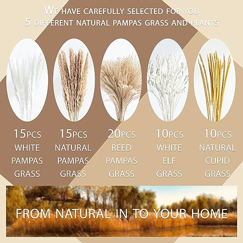 70PCS Natural Dried Pampas Grass Boho Home Decor Bouquet Phragmites Dried Flowers Bouquet for Wedding Floral Arrangements Home Decorations (70PCS)