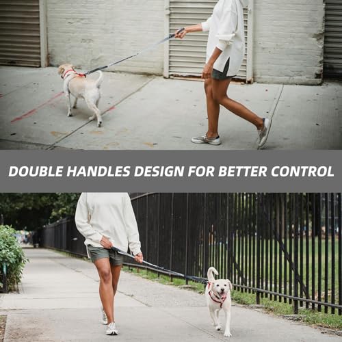 Roses&Poetry Dog Leashes for Large Dogs Heavy Duty,No Pull Bungee Dog Running Waist Leash for Walking Training with Car Seatbelt 4-6FT