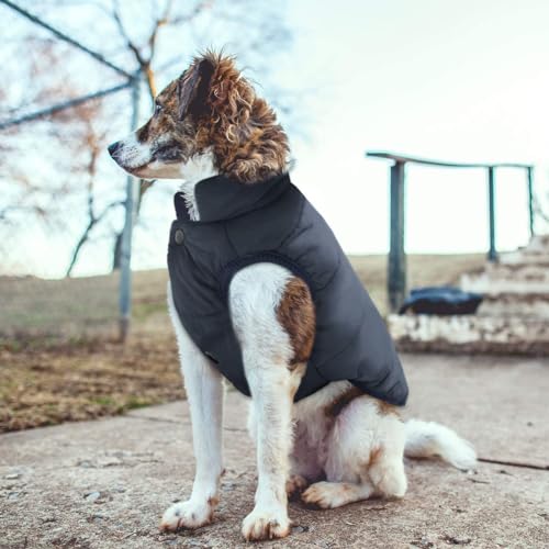ASENKU Windproof Dog Winter Coat Waterproof Dog Jacket Warm Dog Vest Cold Weather Pet Apparel with 2 Layers Fleece Lined for Small Medium Large Dogs (Red&Navy, XXL)