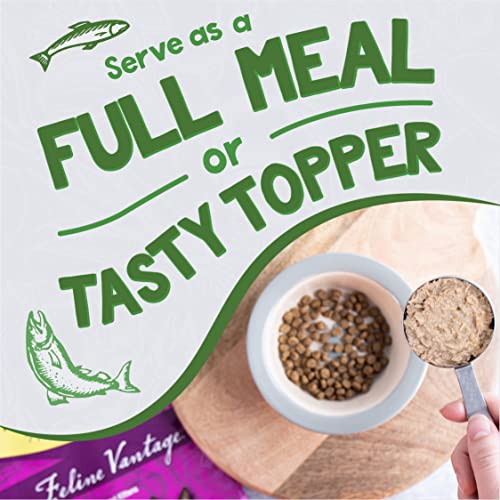 Earthborn Holistic Chicken Catcciatori Chicken Dinner in Gravy Grain-Free Wet Food for Adult Cats (3 oz. Cans, Pack of 24)