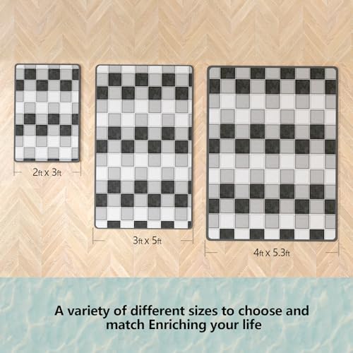 Vidass Non-Slip Rubber Area Rug, Thin Living Room Rug, Entrance Mat Carpet for Kitchen Laundry Bathroom Bedroom, Easy Clean Washable Area Rugs for High Traffic Areas, 3 X 5 Feet, Black White
