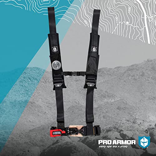 Pro Armor A114220 Black 4-Point Harness 2" Straps