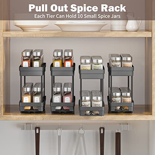 DABIGE 2 Packs Pull Out Spice Rack Organizer for Cabinet, Slide Out Spice Racks Organizer, Easy to Install Spice Cabinet Organizers, 4.33''Wx10.4''Dx8.5''H, Each Tier Hold 10 Spice Jars - 2 Tier