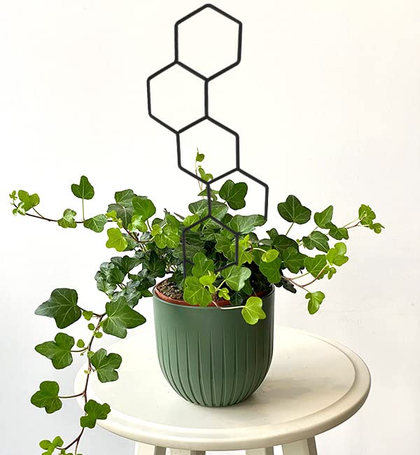 Wellsign Plant Trellis for Climbing Plants Indoor, 15.94Inch Small Garden Metal Houseplant Trellis for Potted Plants Outdoor with 4 Patterns for Vine Ivy Flower Plant Support Lover Lattice