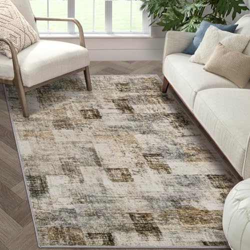 Area Rug Living Room Rugs: 3x5 Soft Modern Abstract Fluffy Rug with Non-Slip Backing, Washable Indoor Plush Throw Rug Small Accent Carpet for Bedroom Dining Room Nursery Home Office - Beige/Gray