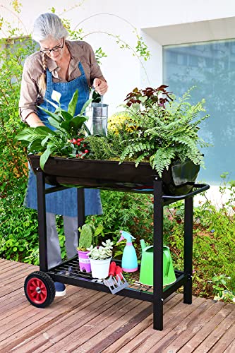 Aveyas Metal Raised Planter Box on Wheels with Complete Gardening Kit, Elevated, Mobile Garden Bed Cart with Legs - Ideal for Indoor & Outdoor Patio, Backyard Planting of Vegetables, Herbs, Flowers