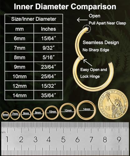 Vegolita 14G 16G 18G 20G 316L Stainless Steel Hinged Nose Rings Hoop for Women Men Septum Clicker Hinged Segment Ring Cartilage Helix Tragus Earring Lip Rook Conch Hoop 6-14MM Color 20G 7MM