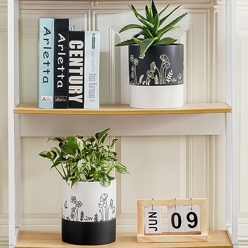 Nihow Self Watering Plant Pot: 6 Inch Ceramic Planter with Drainage Hole & Water Storage Plus for Indoor & Outdoor Plants - Cylinder Round Flower Pot for Succulent/Herbs/Violets -Black