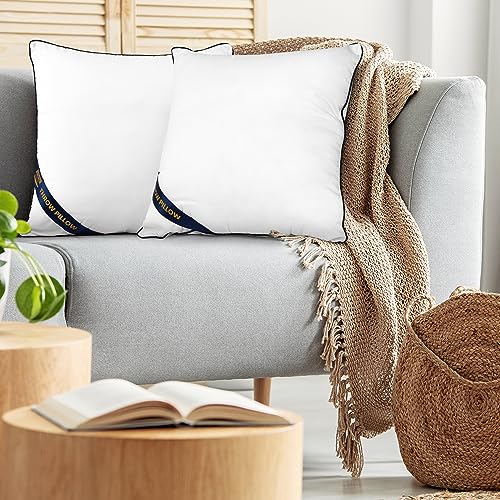 Utopia Bedding Throw Pillow Inserts (Pack of 2, White), 12 x 12 Inches Decorative Indoor Pillows for Sofa, Bed, Couch, Cushion Sham Stuffer