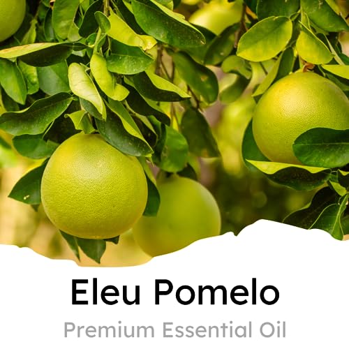 Air Jungles Sweet Popcorn Scent Car Air Freshener Clip, 6 Vent Clips, 4ml Each, Long Lasting Air Freshener, Up to 180 Days Car Refresher Odor Eliminator