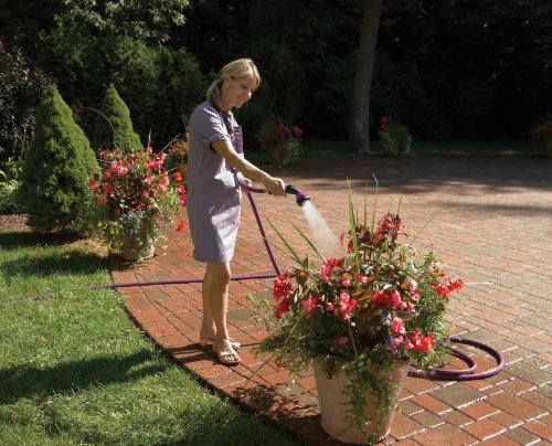 Dramm 12426 One Touch Shower and Stream, Berry