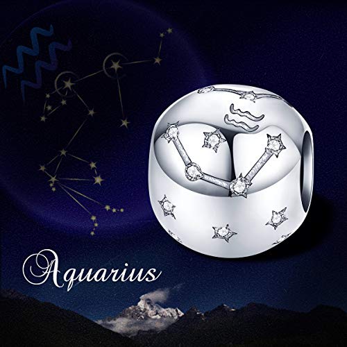 FOREVER QUEEN Aquarius Zodiac Star Sign 925 Sterling Silver Bead Charm Fits Bracelets 12 Constellations Charm, Womens Jewellery Gift with Box