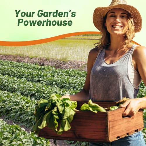 Outsidepride Annual Daikon Radish Seeds - 1 oz. Chinese, Japanese, & Oriental Radish Seeds for Soil Health, Erosion Control, & Soil Aeration - Ideal for Gardens, Cover Crops, Pastures, & Food Plots