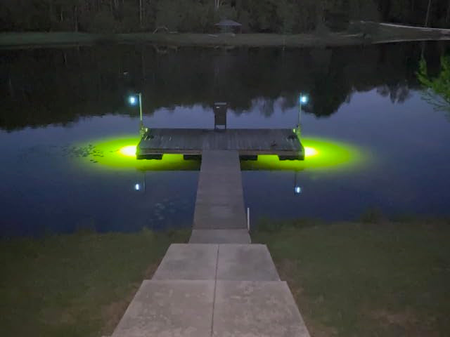 Saltwater Approved Barnacle Burner Underwater Fish Light, 250 Watt Extreme Brilliant Green 21,000 Lumens Single Dock Light 50' Marine Grade Lamp Cable, Automatic Dusk to Dawn, Easy Self Installation.