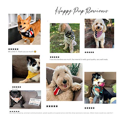 Birthday Girl Over the Collar Dog Bandana That Slips onto Their Existing Collar Size (X-Small)