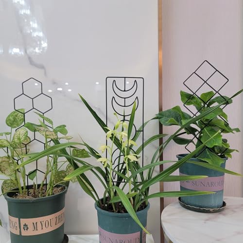WellSign Metal Trellis for Climbing Plants Indoor, 16.36 inch Small Trellis for Potted Plants Geometric Shape Lattice for Ivy Vines Hoya Houseplants Flower 2 Pack