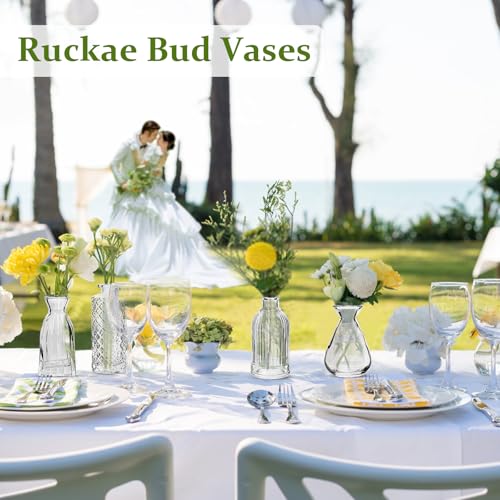 RUCKAE Small Clear Bud Vases Bulk 12 Pack Mini Flower Glass Vases for Centerpiece Table Wedding Decorations Home Decor Party(Transparent)