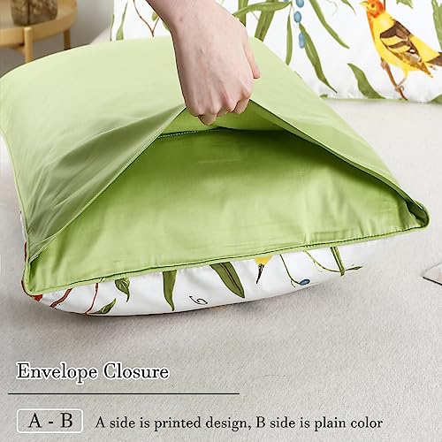 WINLIFE Queen Pillowcases Set of 2 100% Egyptian Cotton Queen Pillow Cases 2, 20×30 inches, Soft and Breathable Pillow Cover, White