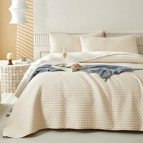 WARMDERN Beige Quilt Sets Queen Size, Cooling Summer Quilt for Hot Sleepers, Soft Lightweight Bedding Bedspread Coverlets for All Season(Beige, Queen)