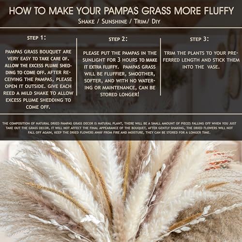 70PCS Natural Dried Pampas Grass Boho Home Decor Bouquet Phragmites Dried Flowers Bouquet for Wedding Floral Arrangements Home Decorations (70PCS)