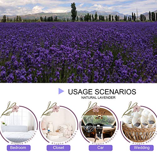 CoolCrafts Dried Lavender Flowers, Bulk Wholesale Fragrant Lavender for Wedding Toss, Crafts, Sachets - 1 Pound